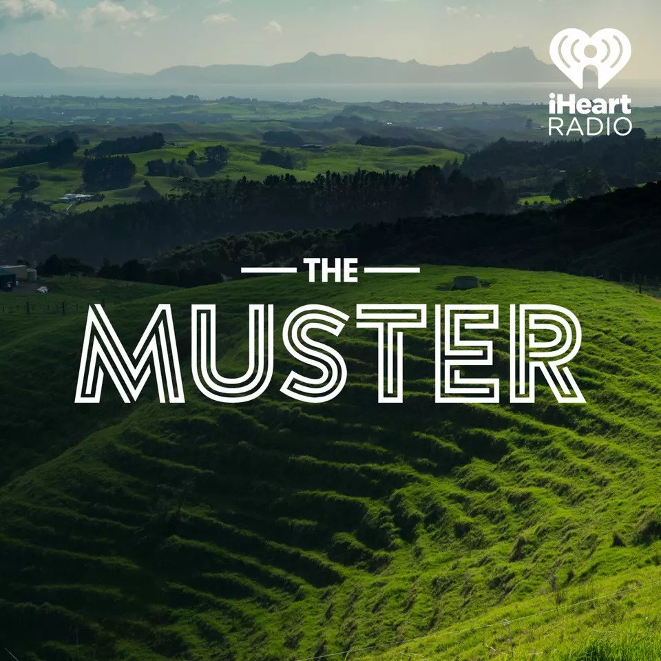 The Muster- Jamie Mackay: Toffee Nosed What?!