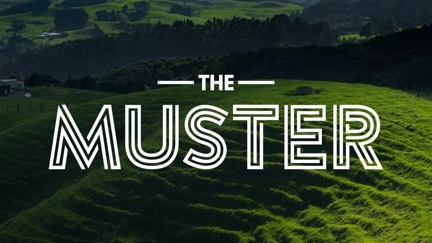 The Muster- Nick Bewley: Super Rugby Finals Time