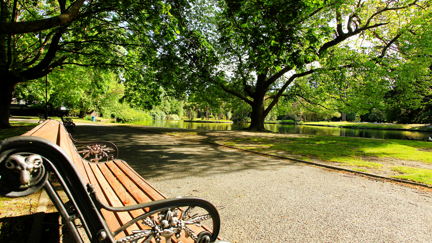 What's On Mid Canterbury